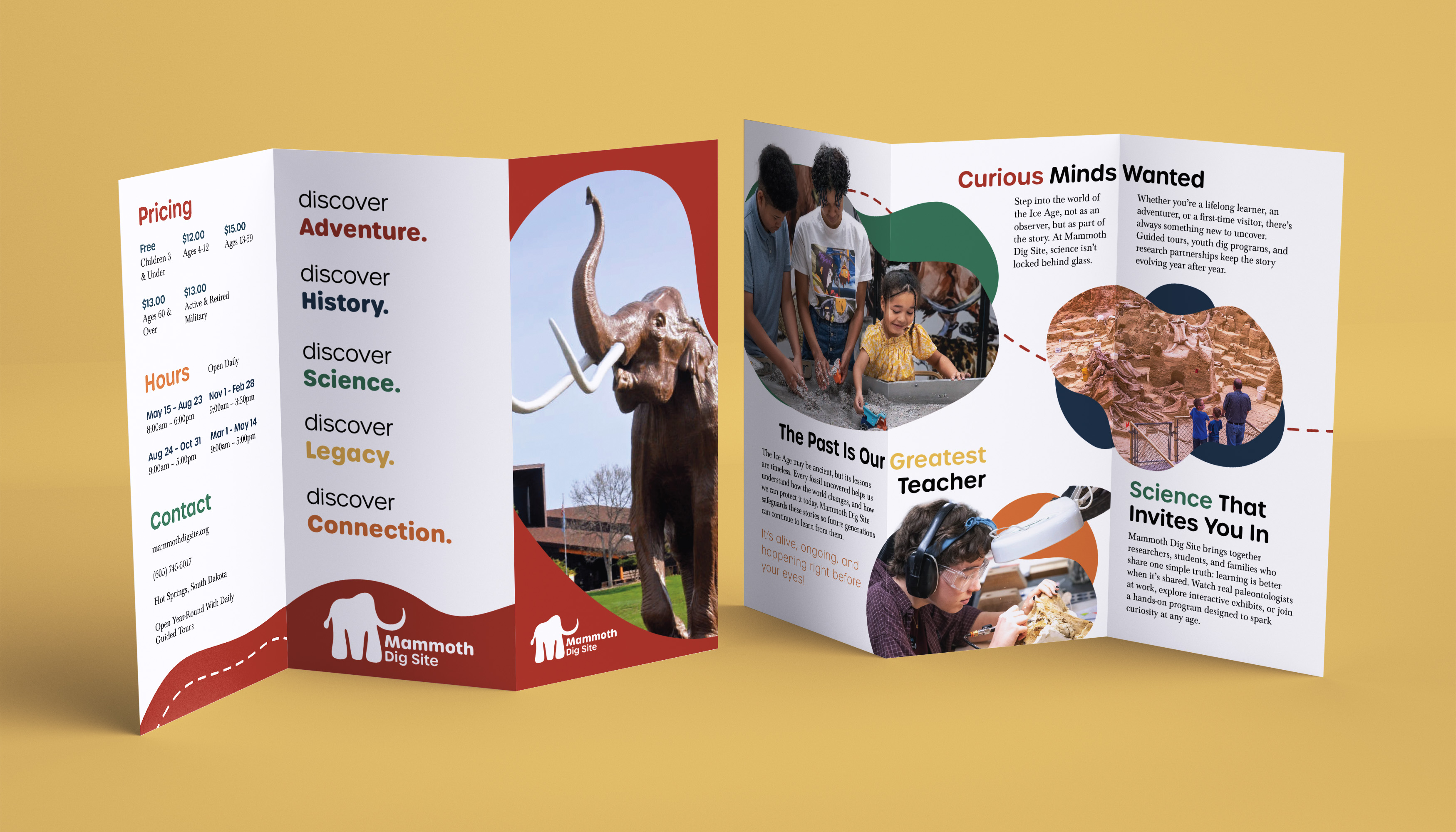 brochure mockup